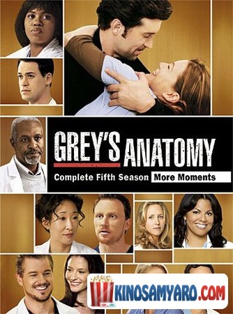 Greis Anatomia Sezoni 5 Qartulad / გრეის ანატომია სეზონი 5 / Grey`s Anatomy Season 5