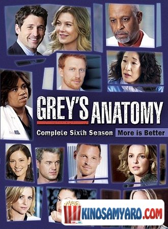 Greis Anatomia Sezoni 6 Qartulad / გრეის ანატომია სეზონი 6 / Grey`s Anatomy Season 6
