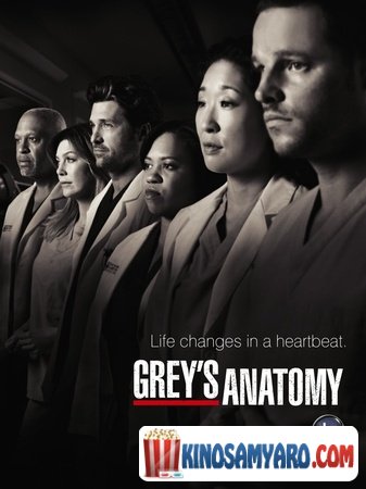 Greis Anatomia Sezoni 8 Qartulad / გრეის ანატომია სეზონი 8 / Grey`s Anatomy Season 8