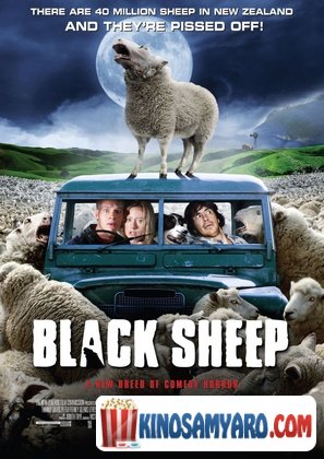 Shavi Cxvari Qartulad / შავი ცხვარი (ქართულად) / Black Sheep