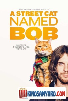 Quchis Kata Saxelad Bobi Qartulad / ქუჩის კატა სახელად ბობი (ქართულად) / A Street Cat Named Bob