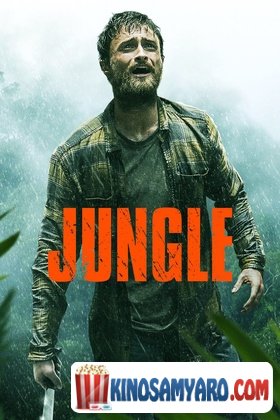 ჯუნგლები / Junglebi / Jungle