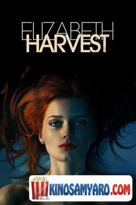 Elizabet Harvesti Qartulad / ელიზაბეტ ჰარვესტი (ქართულად) / Elizabeth Harvest