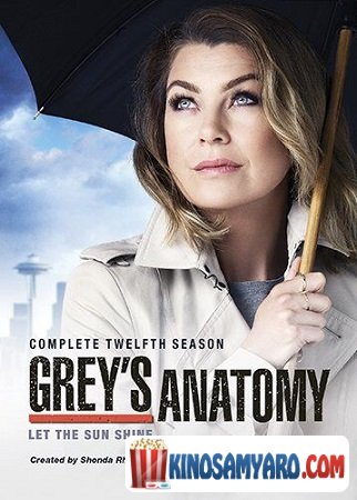 Greis Anatomia Sezoni 12 Qartulad / გრეის ანატომია სეზონი 12 / Grey`s Anatomy Season 12