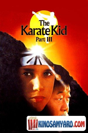 karatisti bichi 3 qartulad / კარატისტი ბიჭი 3 (ქართულად) / The Karate Kid Part 3