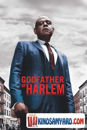 harlemis natlia qartulad / ჰარლემის ნათლია ქართულად / Godfather of Harlem