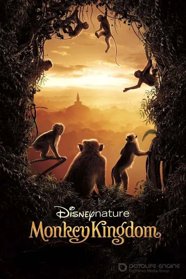 მაიმუნების სამეფო Monkey Kingdom