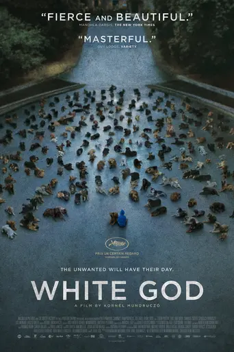 თეთრი ღმერთი / Tetri Gmerti / White God