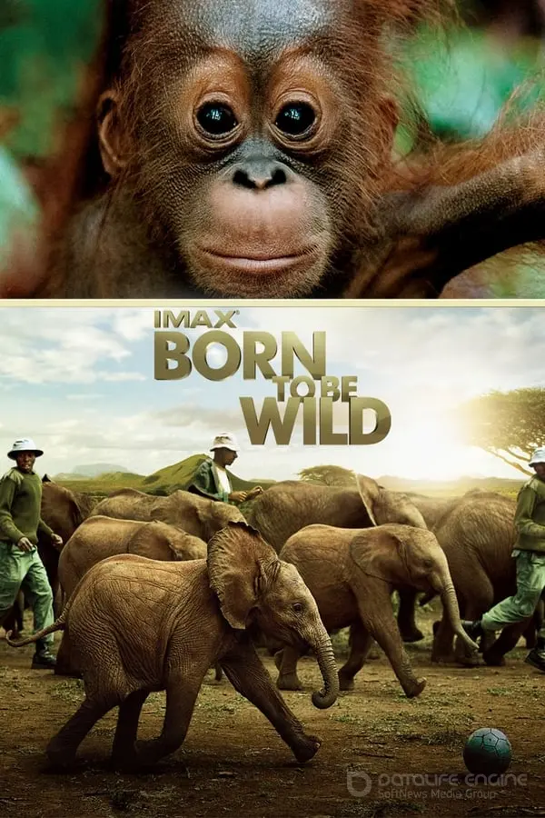 ველურებად დაბადებულნი Born to Be Wild