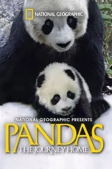 პანდები: შინ დაბრუნება Pandas: The Journey Home