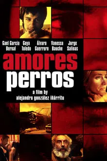 ძუკნა სიყვარული / Amores perros