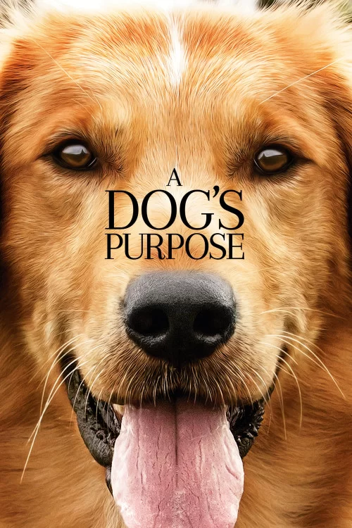 Dzagluri Cxovreba Qartulad / ძაღლური ცხოვრება (ქართულად) / A Dog's Purpose